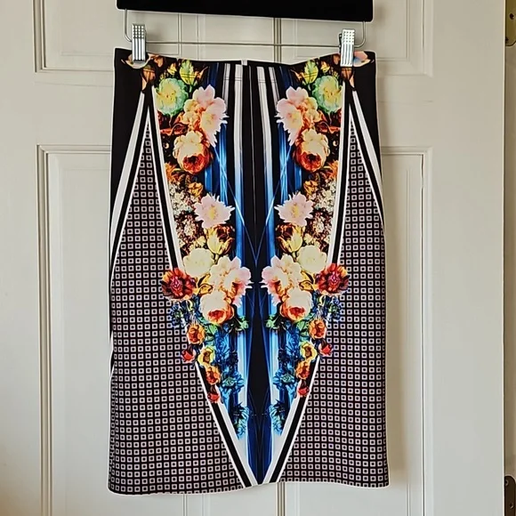 Clover Canyon Winter Solstice Skirt. Pencil